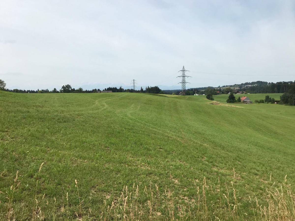 Haus Stegmeir Hohenweiler Exterior foto